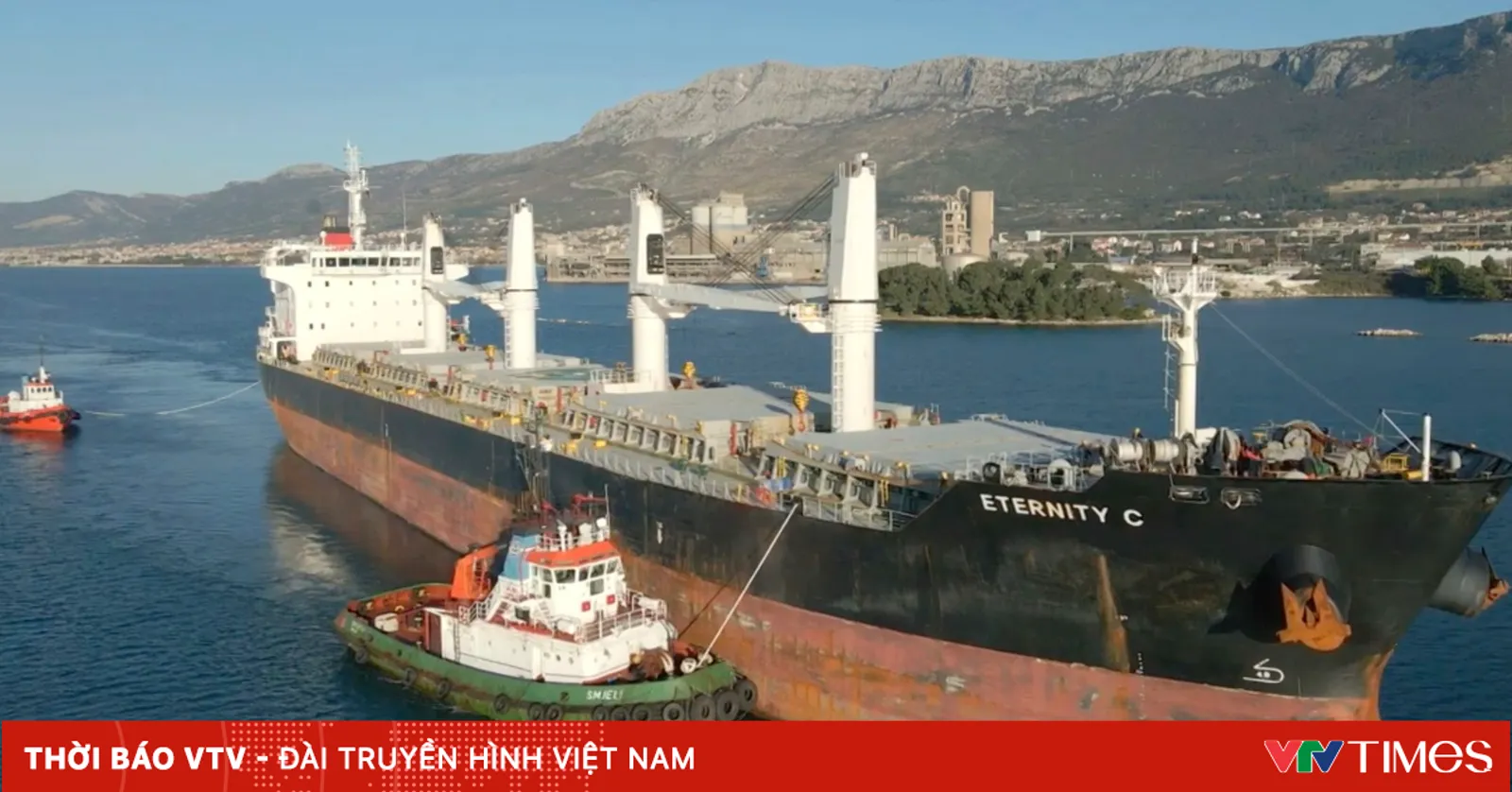 vtv.vn
