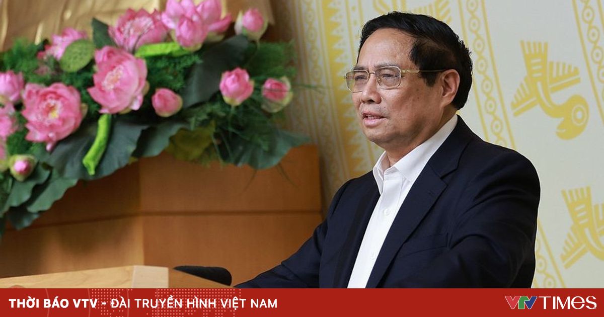 vtv.vn