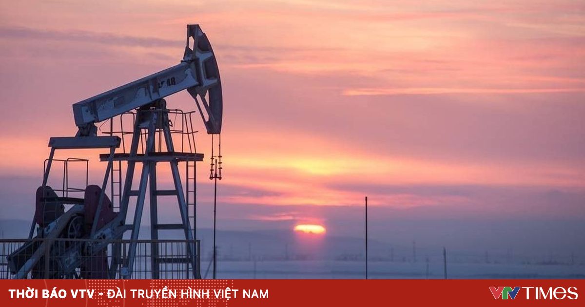 Nga cấm xuất khẩu xăng dầu hoàn toàn đến hết tháng 8/2025
