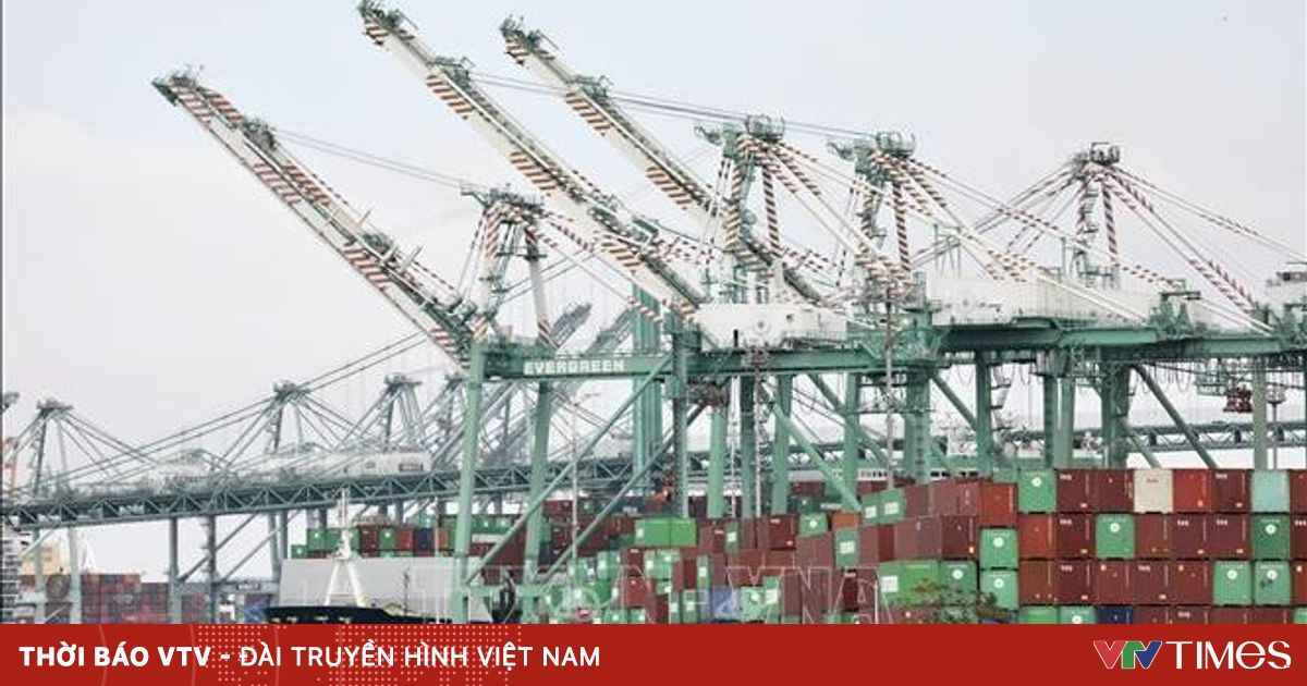 vtv.vn