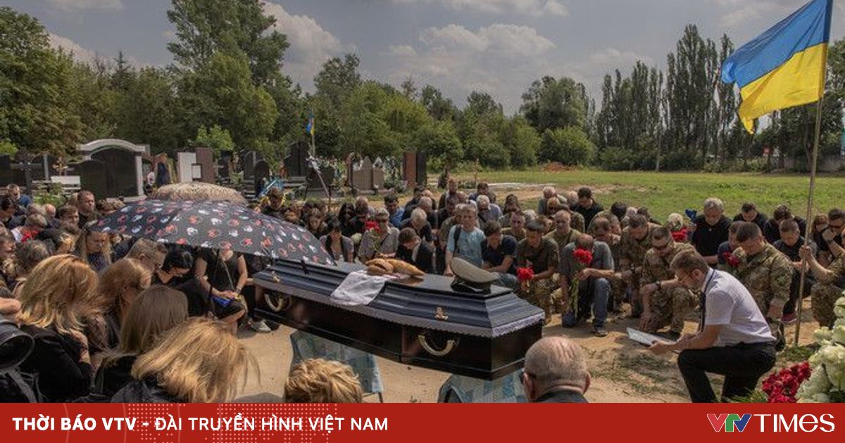 vtv.vn