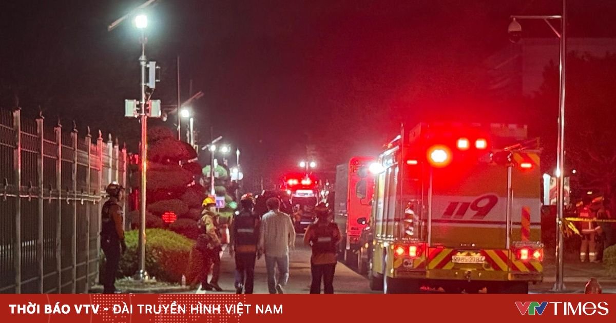 vtv.vn