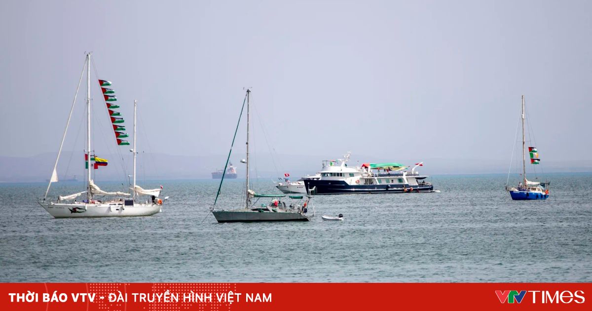 vtv.vn