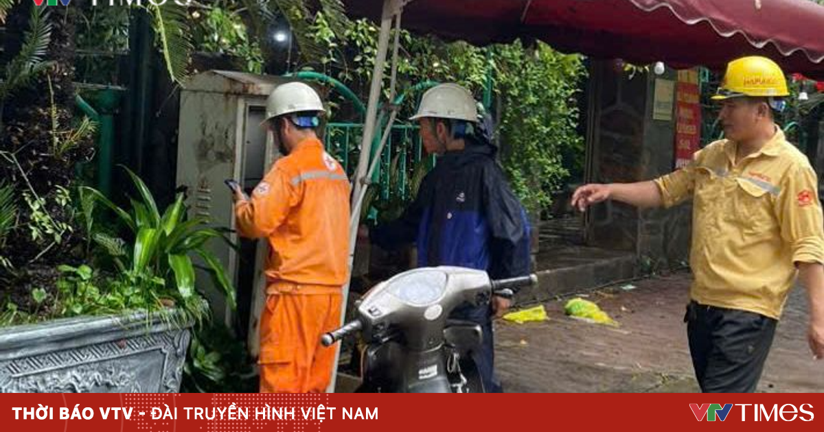 vtv.vn