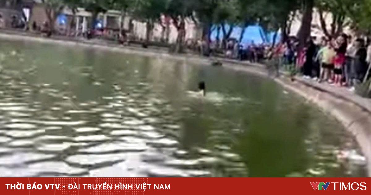 vtv.vn