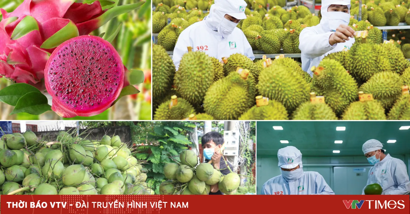 Ngành rau quả tự tin mục tiêu 10 tỷ USD xuất khẩu