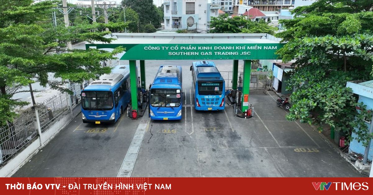 Chỉ còn 8 ngày: 500 xe buýt ở TP Hồ Chí Minh có nguy cơ gián đoạn vì thiếu khí CNG