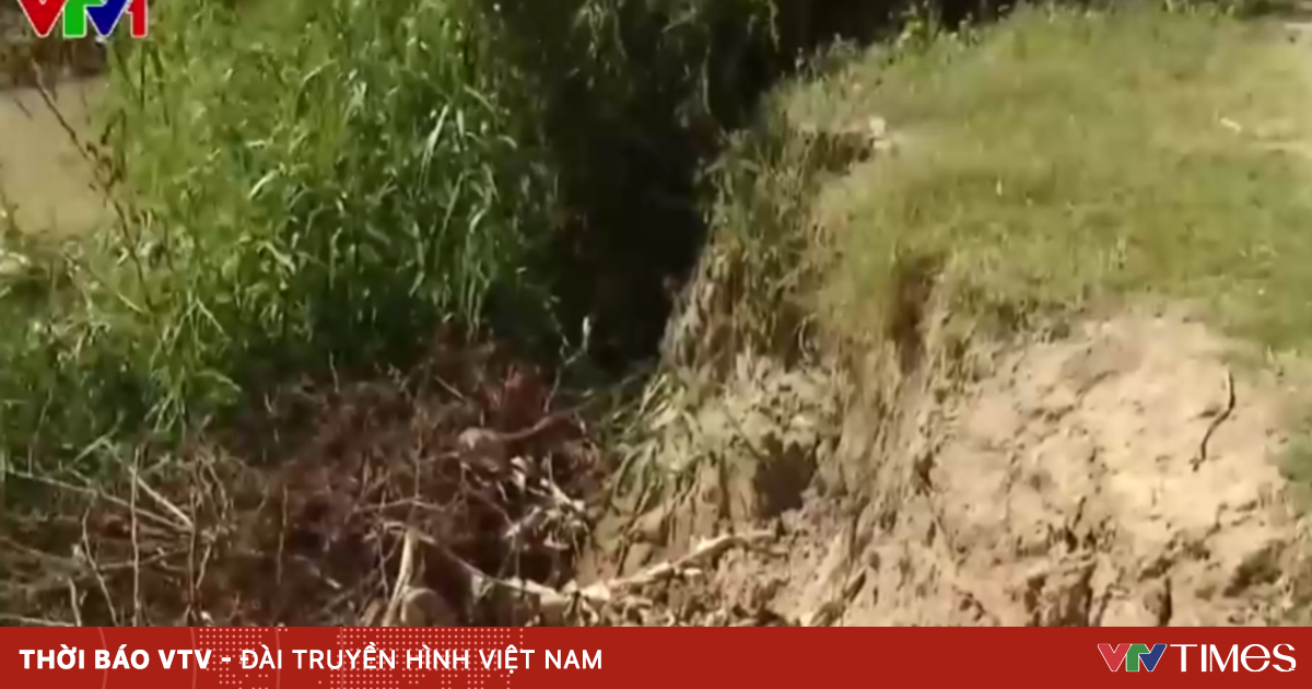 Khánh Hòa: Bờ sông Lu sạt lở, nhiều đoạn mất hẳn đường đi - VTV.vn