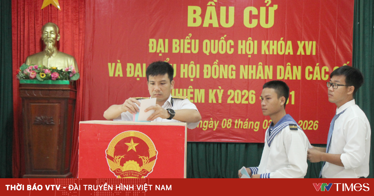 Quy Định Về Người Trúng Cử Theo Luật Bầu Cử Việt Nam