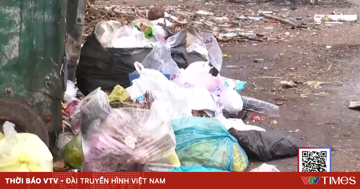 Rác thải bủa vây trường học ở Khánh Hòa - VTV.vn