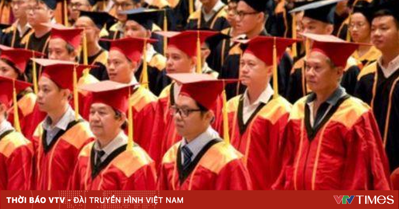 Nghị Định Quy Định Chi Tiết Về Phong Tặng Tiến Sĩ Danh Dự, Giáo Sư Danh Dự
