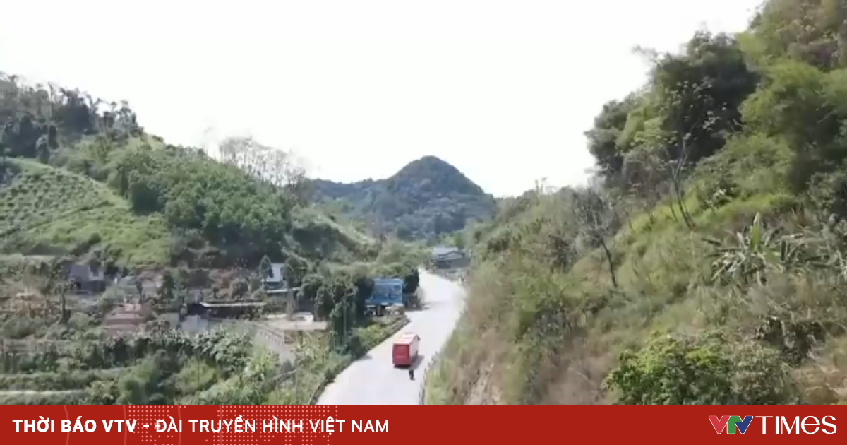 Khảo Sát Thực Tế Xe Giường Nằm Hai Tầng Trên Đường Đèo Dốc: Đánh Giá An Toàn Và Đề Xuất Giải Pháp