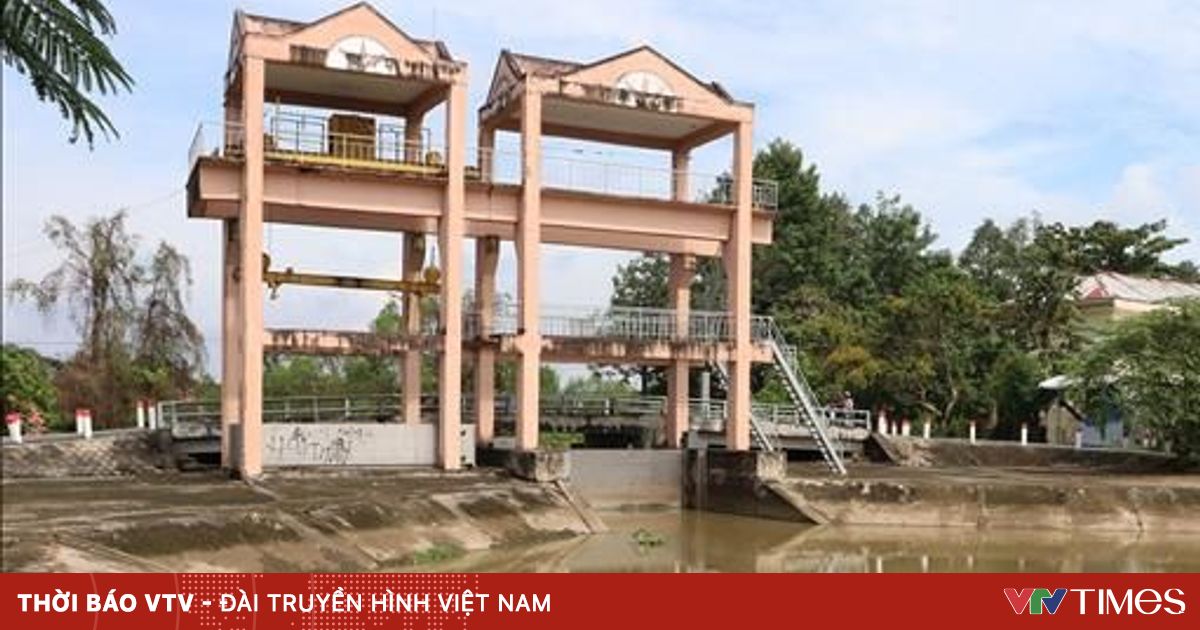 Triều cường sông Tiền: Khẩn trương phòng chống ngập úng và xâm nhập mặn