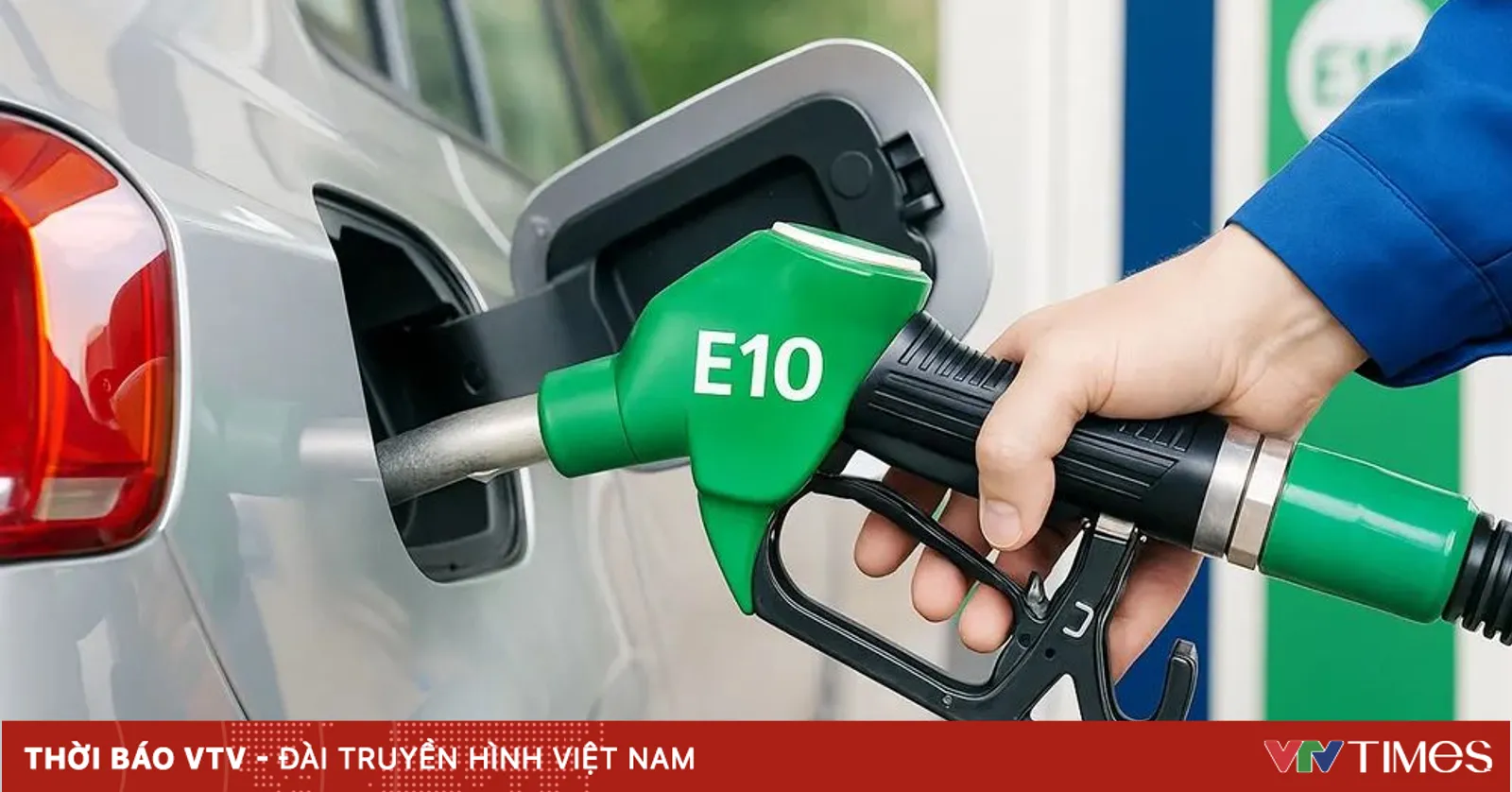 vtv.vn
