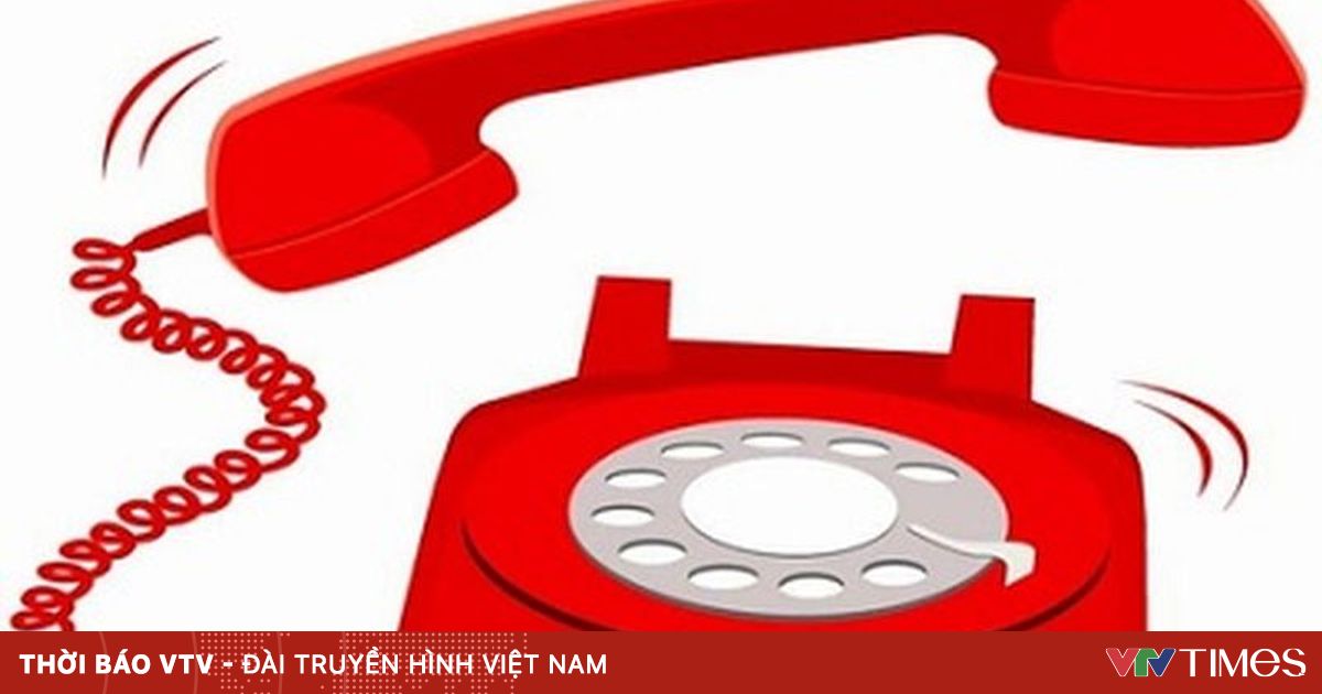 TP Hồ Chí Minh đề xuất tích hợp đường dây nóng bảo vệ trẻ em vào Cổng thông tin 1022