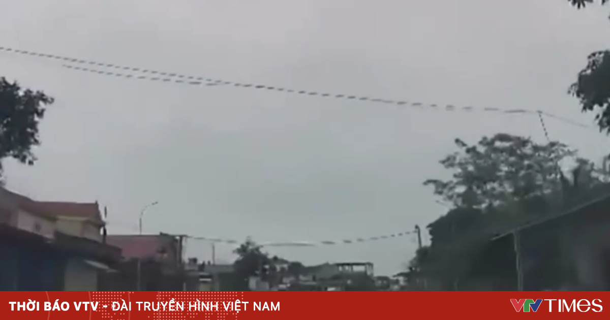 Bất ngờ băng qua đường: Cảnh báo về việc giám sát trẻ gần đường