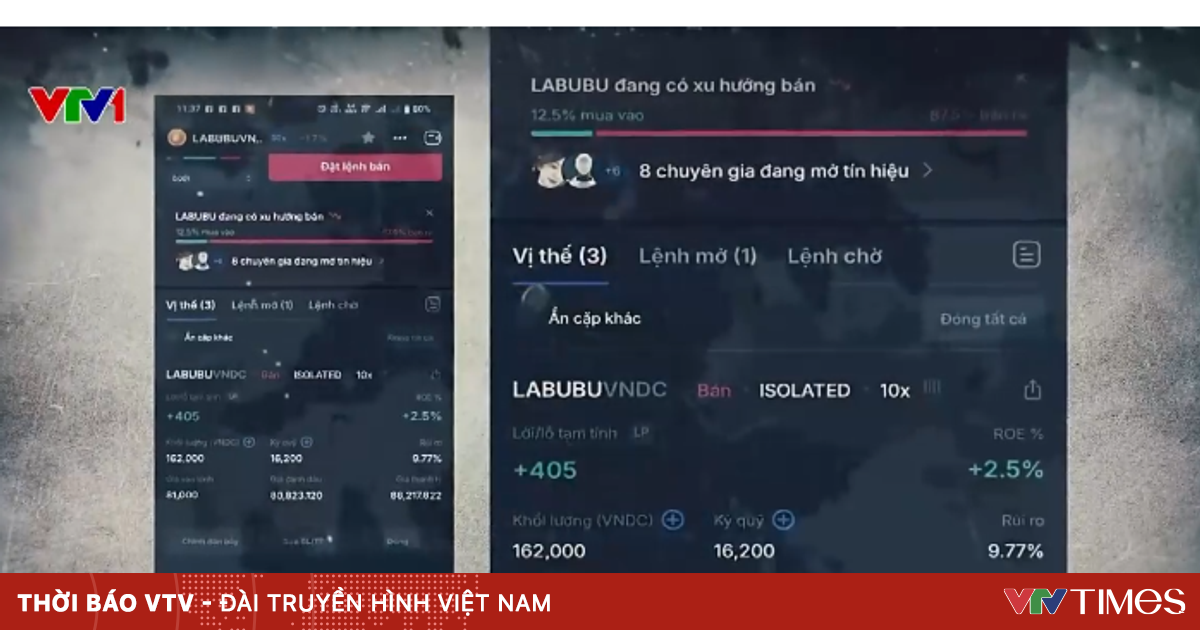 Triệt Phá Đường Dây Tín Chứng ONUS: Hàng Tỷ USD Từ Nhà Đầu Tư