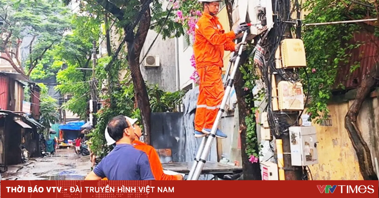 vtv.vn