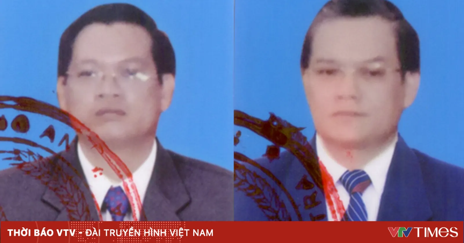 vtv.vn