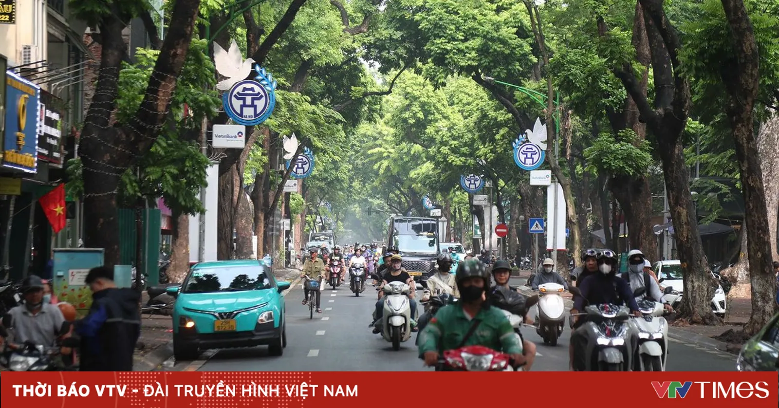 vtv.vn