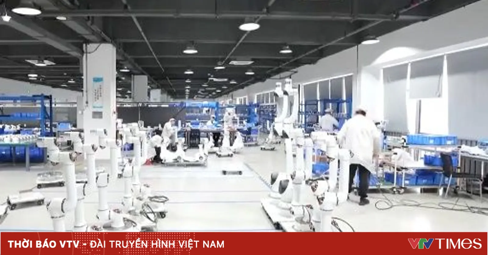 Robot giúp logistics Trung Quốc xử lý hàng hóa khổng lồ