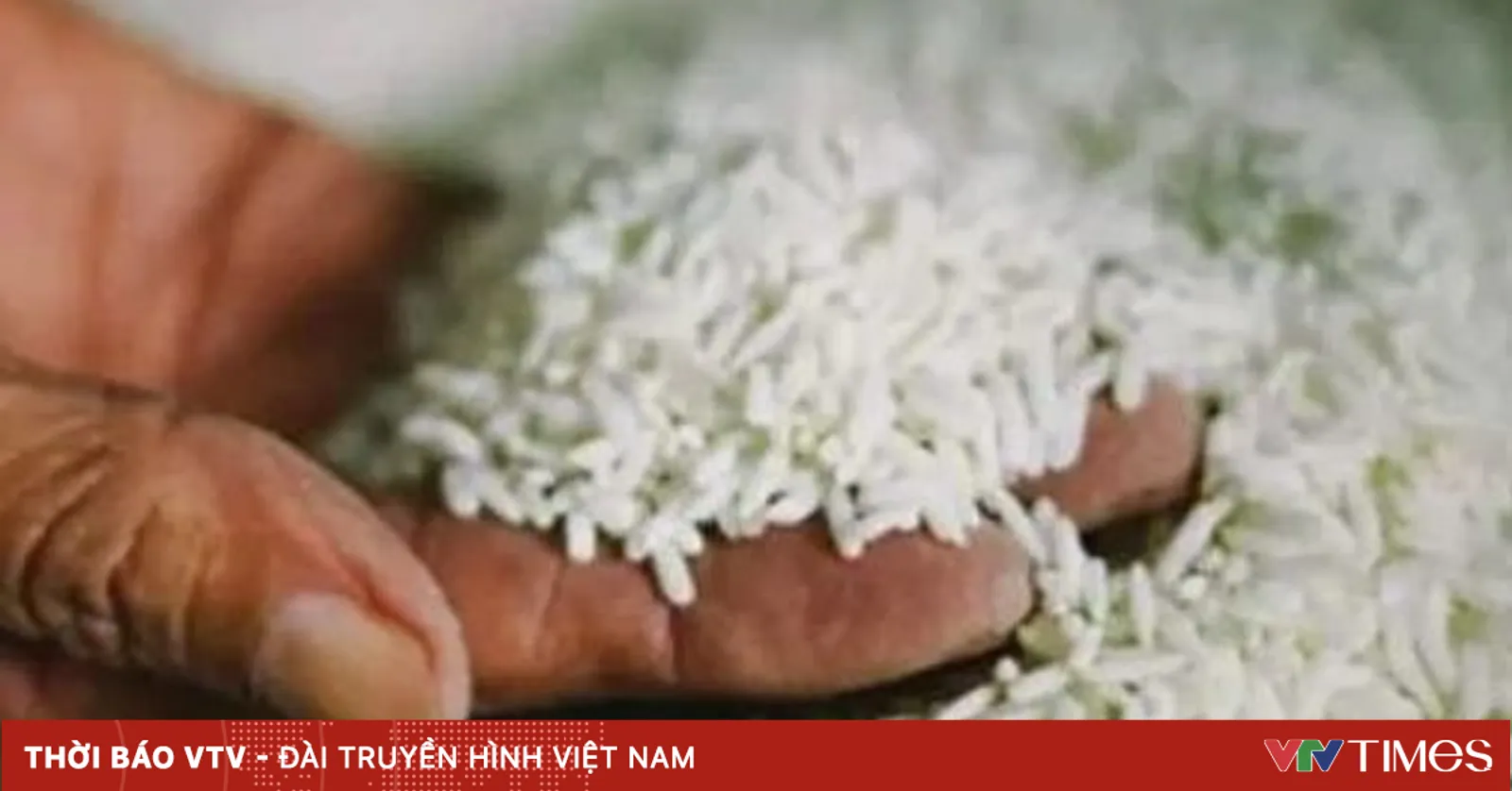Indonesia xuất khẩu 1.000 tấn gạo cao cấp sang Malaysia