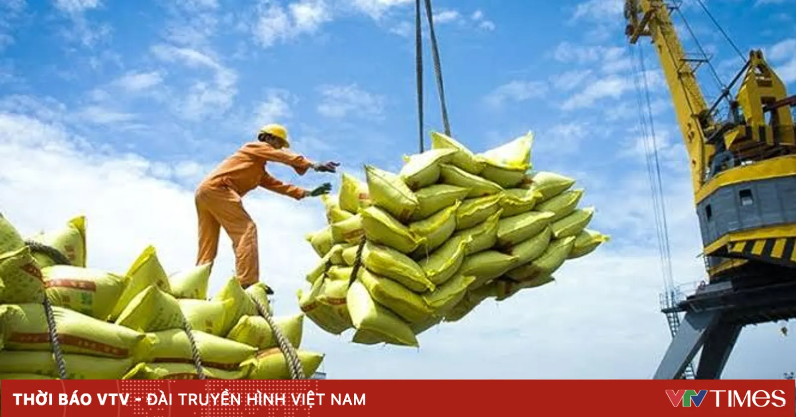 Việt Nam chủ động giữ ổn định hoạt động xuất khẩu gạo