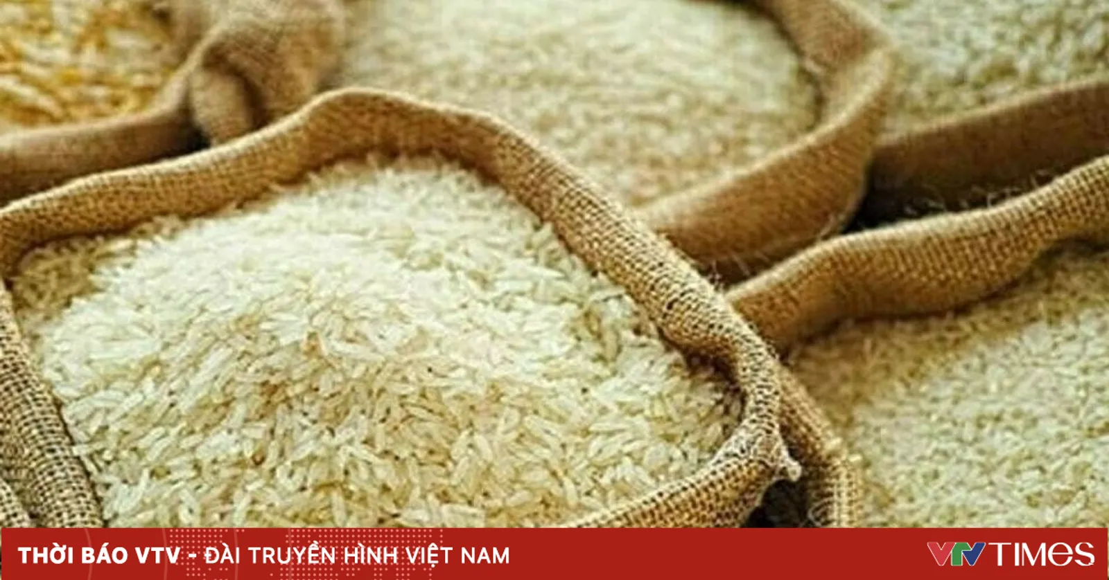 Đa dạng thị trường xuất khẩu gạo Việt Nam