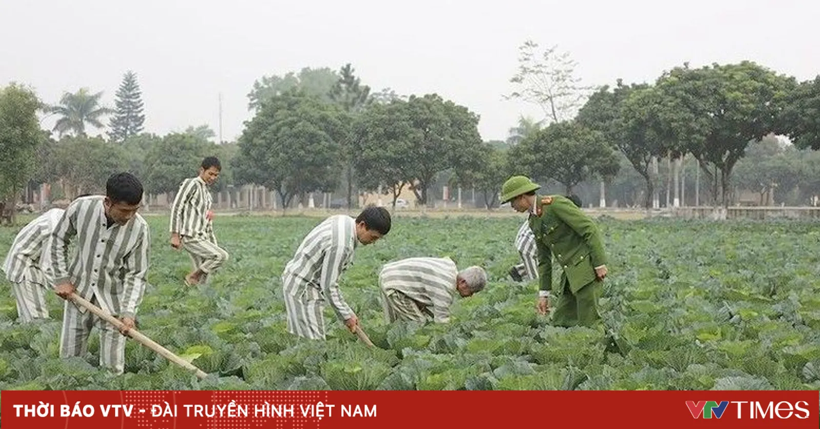 뉴스 사진
