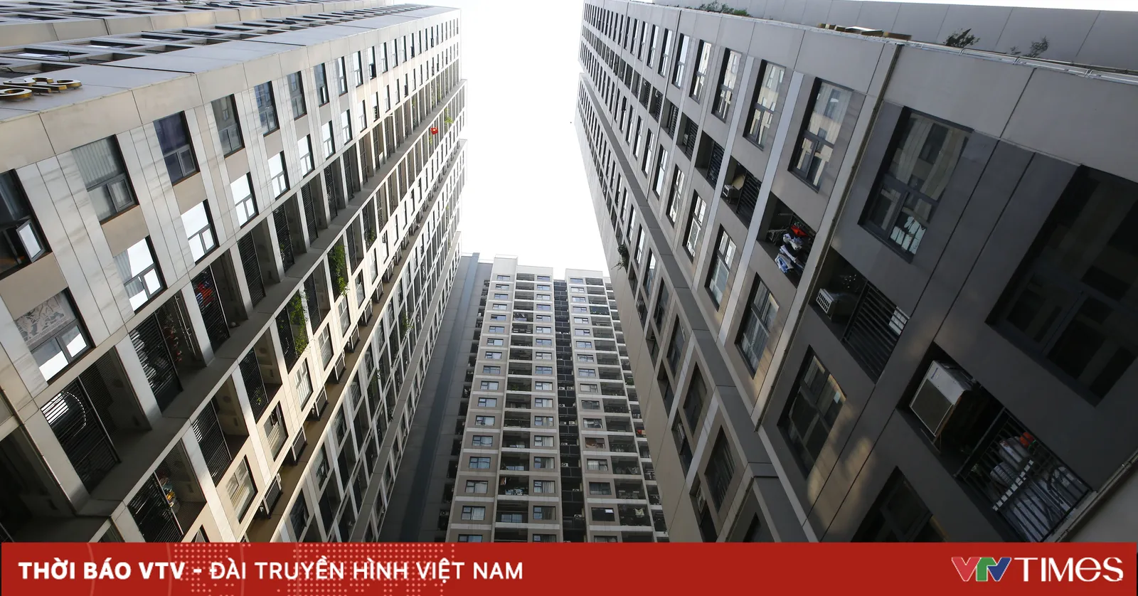 vtv.vn