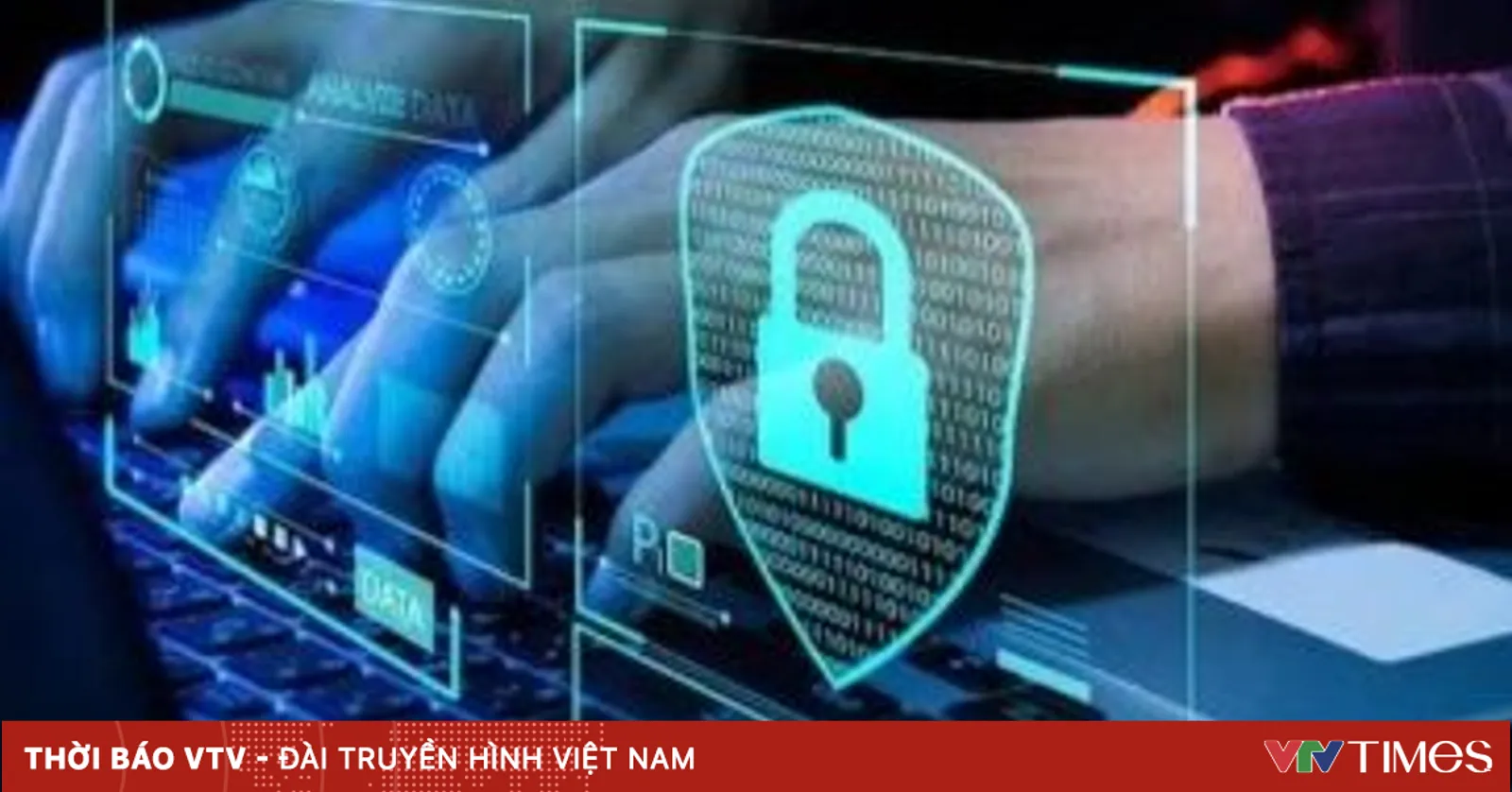 vtv.vn