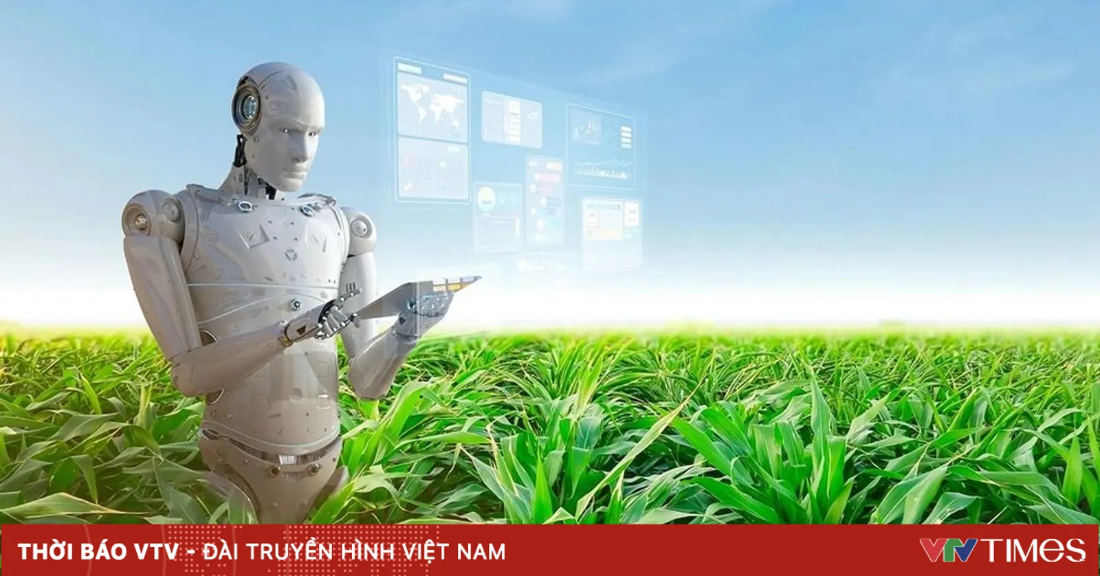 Tạo bệ phóng cho các sản phẩm AI của người Việt