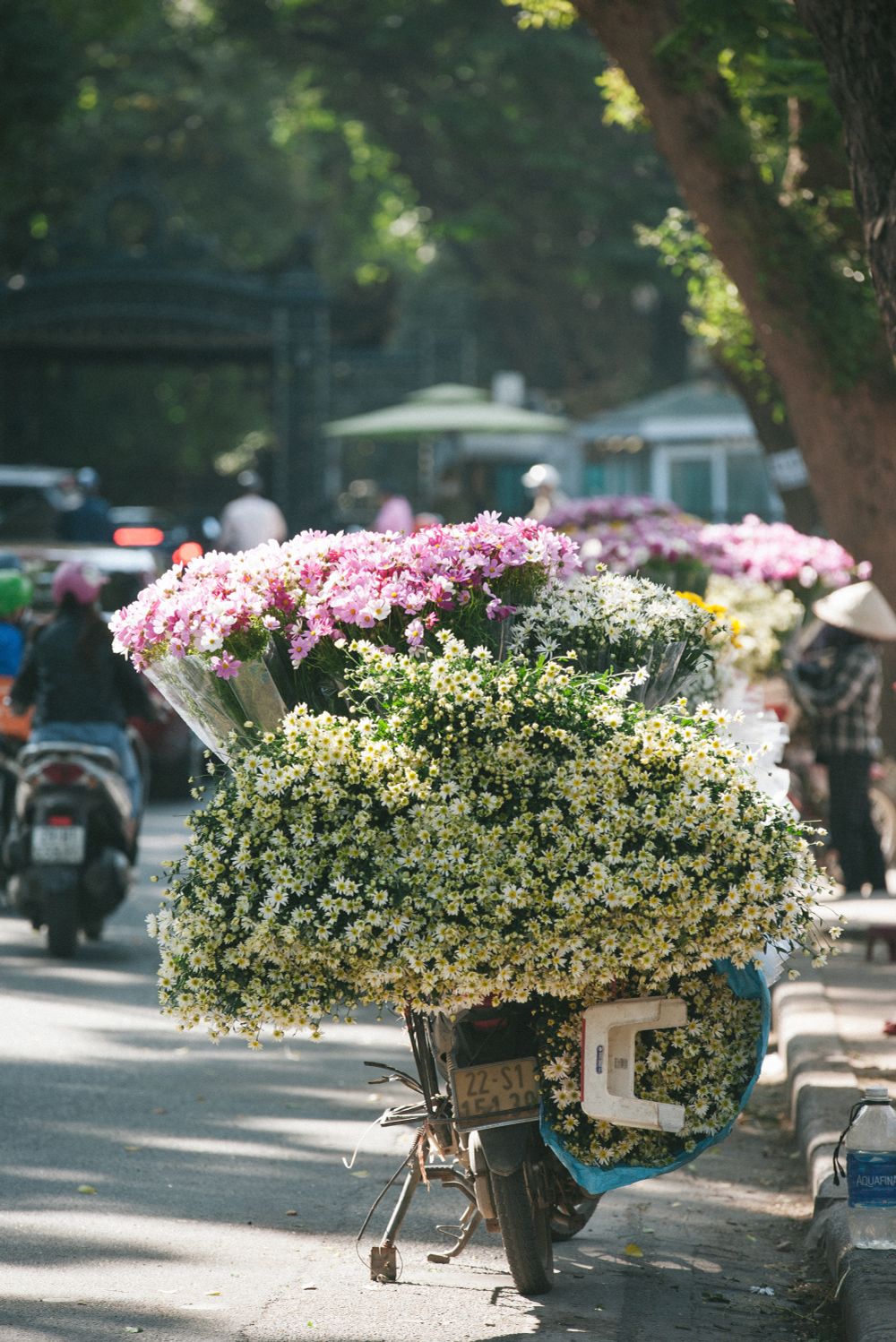 Cúc họa mi ngập tràn phố phường Hà Nội, giá tăng vì khan hàng - Ảnh 1.