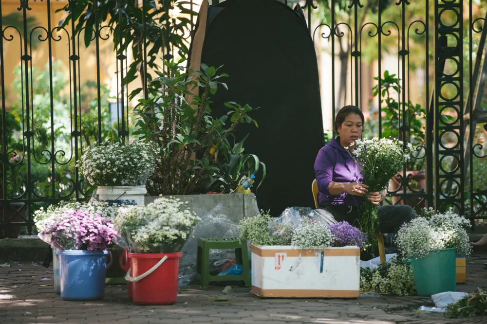 Cúc họa mi ngập tràn phố phường Hà Nội, giá tăng vì khan hàng - Ảnh 10.