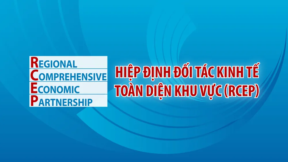 ASEAN 2020: Năm Chủ tịch nhiều dấu ấn kinh tế của Việt Nam - Ảnh 7.