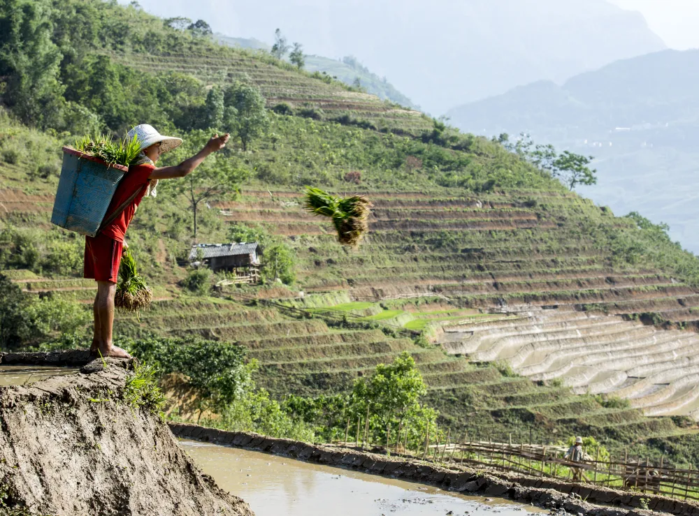 Mùa nước đổ trên những thửa ruộng bậc thang - Đẹp bình dị - Ảnh 9.