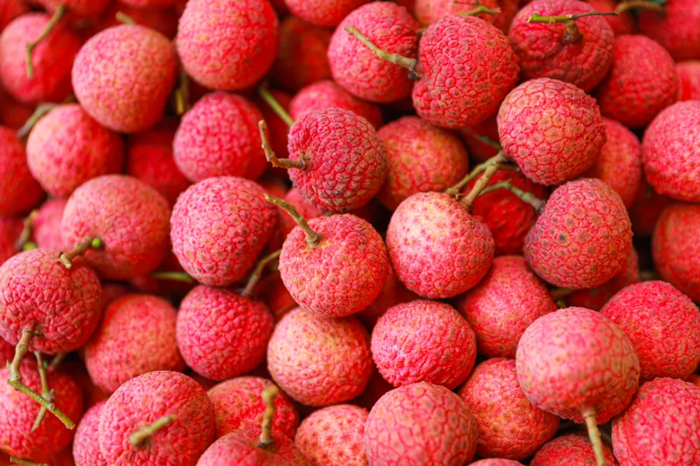 Lục Ngạn (Bắc Giang) m&ugrave;a vải ch&iacute;n: Phi&ecirc;n chợ rực rỡ sắc đỏ - Ảnh 12.