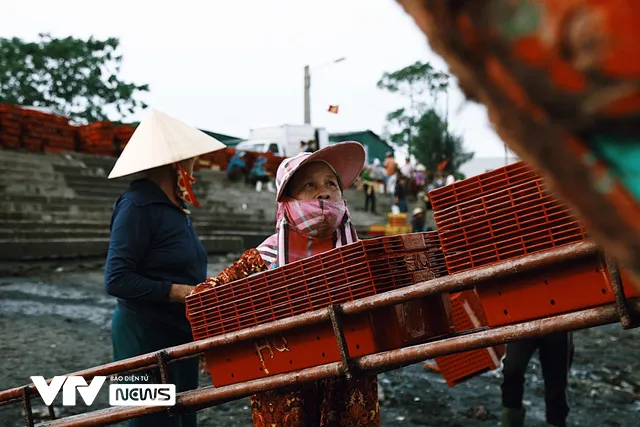 Bến cá Nghi Thủy nhộn nhịp lúc bình minh - Ảnh 9.