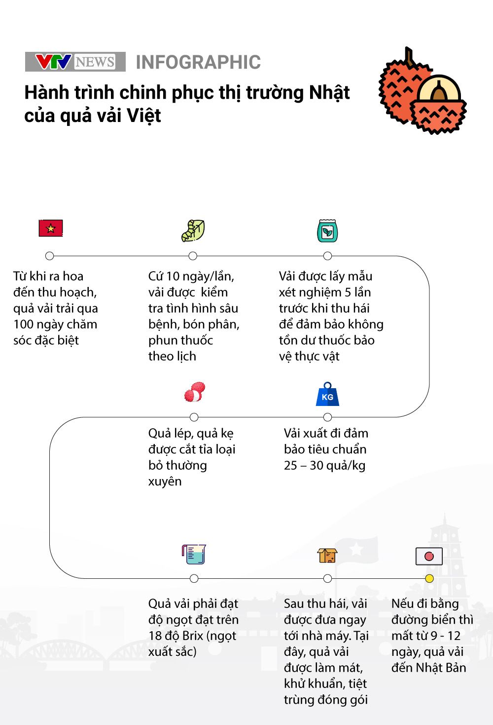 [INFOGRAPHIC] Đem chuông đi đánh xứ người, quả vải Việt chinh phục thị trường Nhật Bản như thế nào? - Ảnh 1.