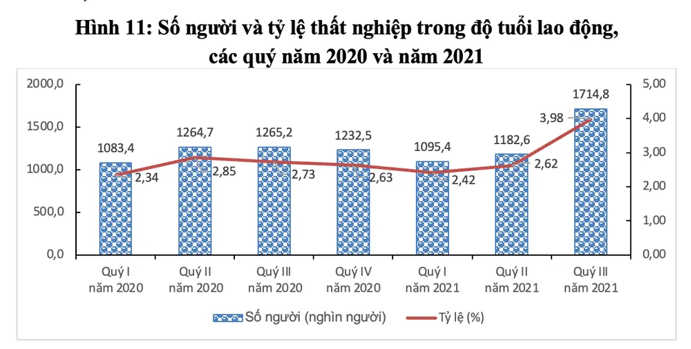 Gần 30 triệu người bị mất việc, giãn việc, giảm thu nhập… vì COVID-19 - Ảnh 3.