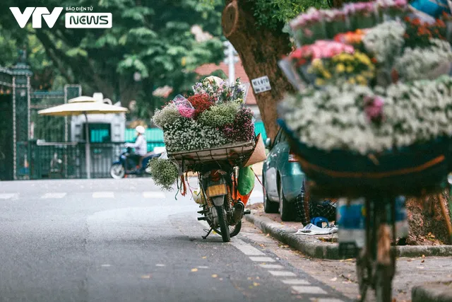 Sắc trắng vàng cúc họa mi điểm khắp phố phường Hà Nội - Ảnh 1.