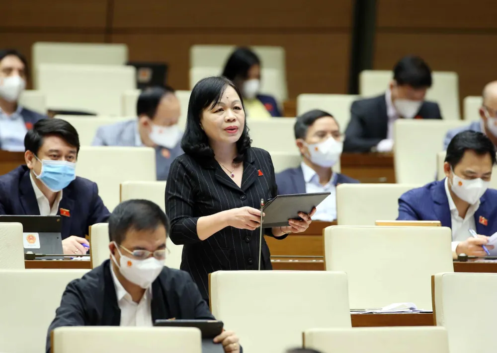 Bàn cơ chế đặc thù cho 4 địa phương, đại biểu lo co kéo “tấm chăn” ngân sách - Ảnh 2.