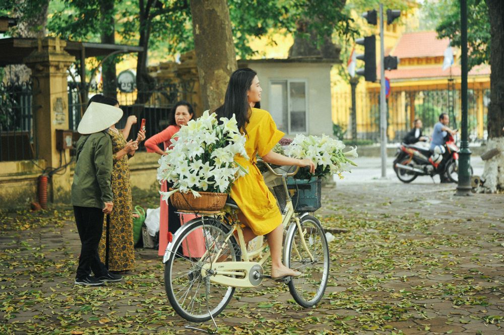 Loa kèn cuối mùa trên con đường lãng mạn nhất Hà Nội - Ảnh 3.