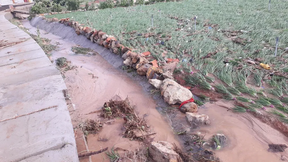 Không có thiệt hại về người, Lý Sơn tan hoang sau bão số 4 - Ảnh 15.