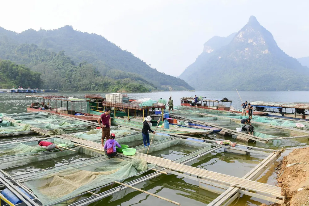 Làng chài giữa đại ngàn núi rừng Tuyên Quang - Ảnh 1.