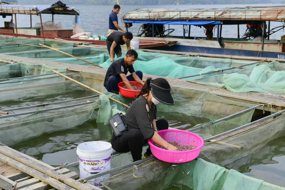 Làng chài giữa đại ngàn núi rừng Tuyên Quang - Ảnh 2.