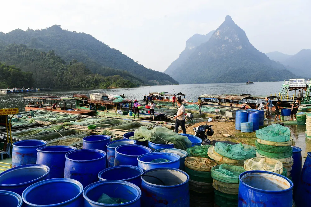 Làng chài giữa đại ngàn núi rừng Tuyên Quang - Ảnh 10.