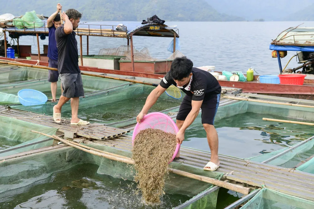 Làng chài giữa đại ngàn núi rừng Tuyên Quang - Ảnh 7.