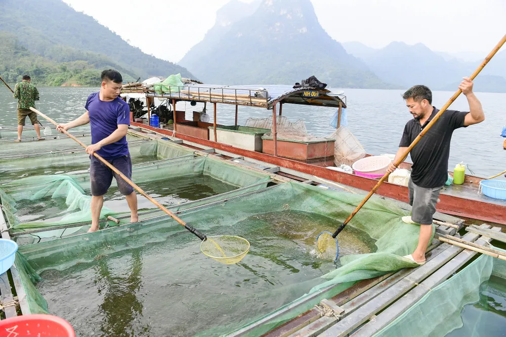 Làng chài giữa đại ngàn núi rừng Tuyên Quang - Ảnh 6.