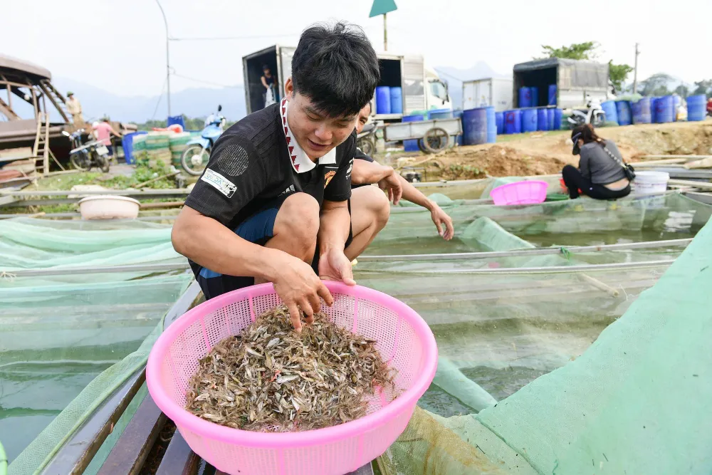 Làng chài giữa đại ngàn núi rừng Tuyên Quang - Ảnh 3.